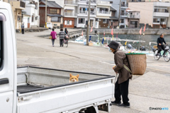 見つかってないよね