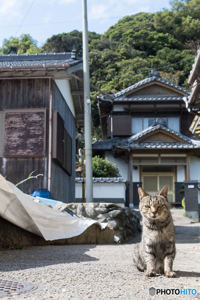 俺んちにようこそ