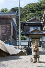 俺んちにようこそ