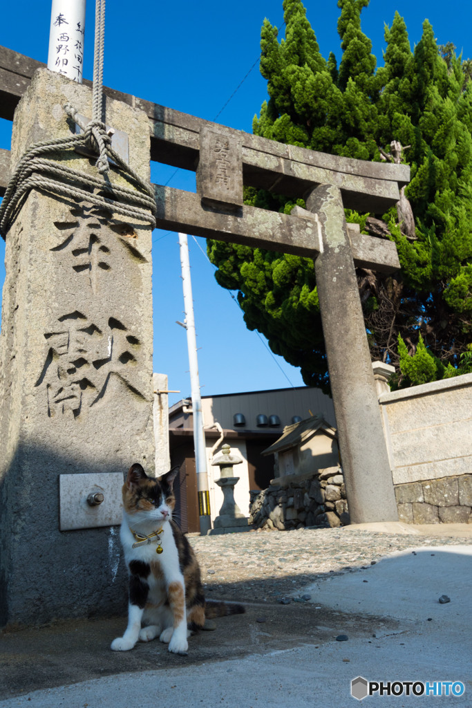 神社の入口で。