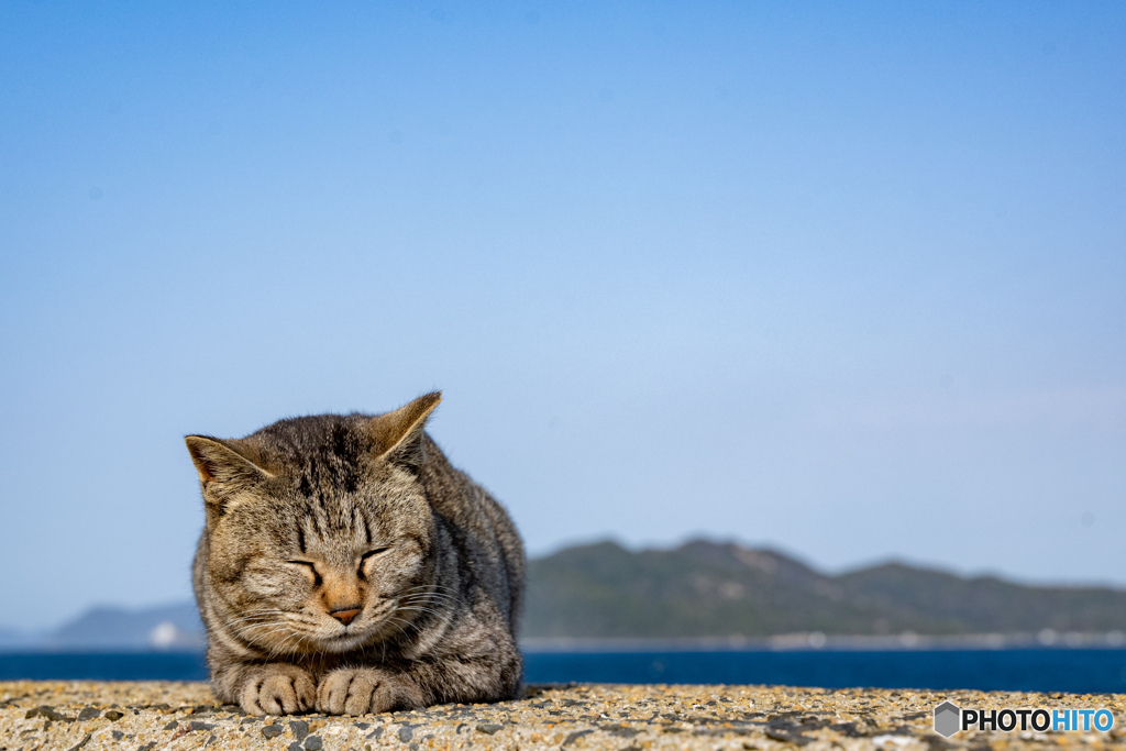 うとうと