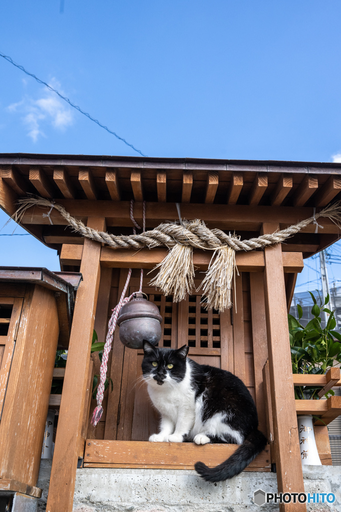 お参りですか？
