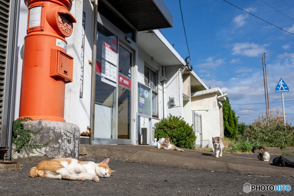 郵便屋さん、来るかな