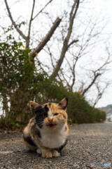 おはようチビミーさん
