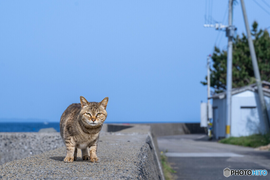 お母ちゃまのお出迎え
