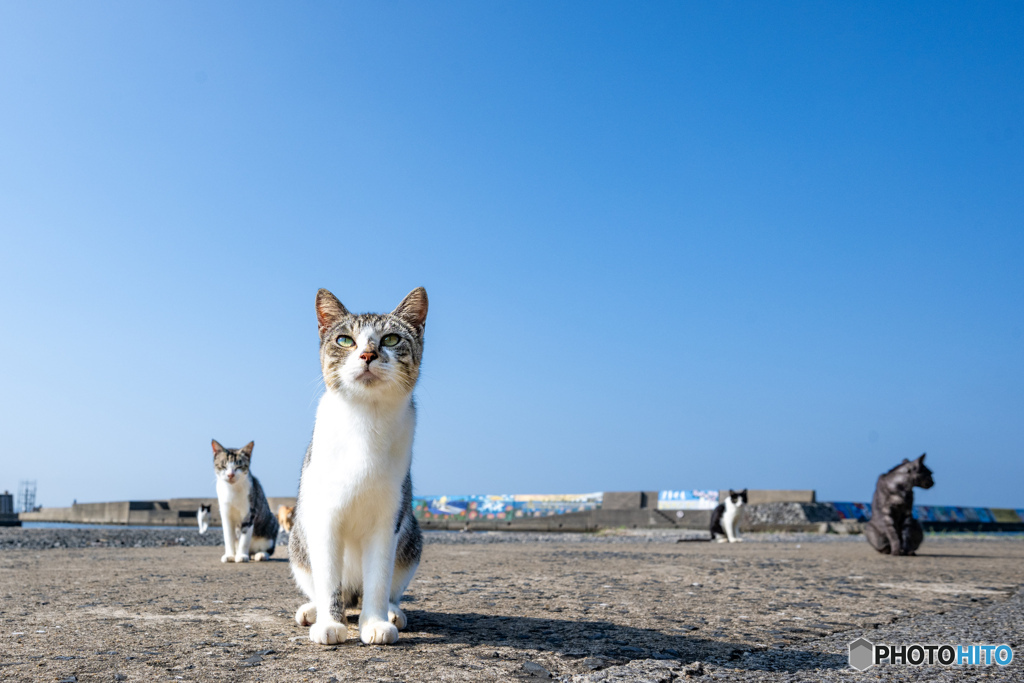 大空に誓う