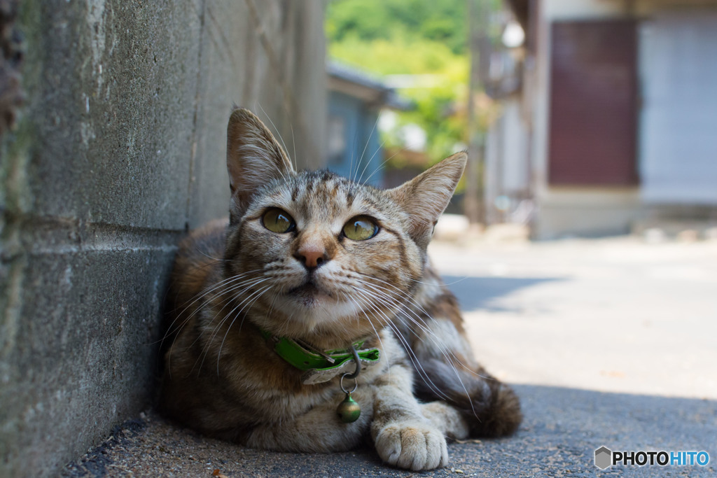 上を向いて