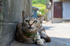 上を向いて