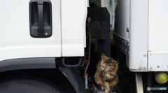 もしかして・・・笑ってるね(^-^)