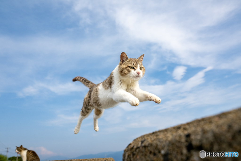 おしっ！！