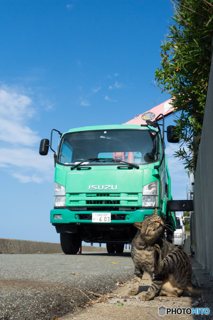 何か工事が始まるのかニャ