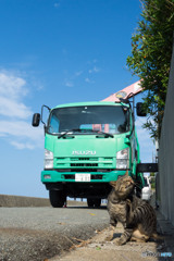 何か工事が始まるのかニャ