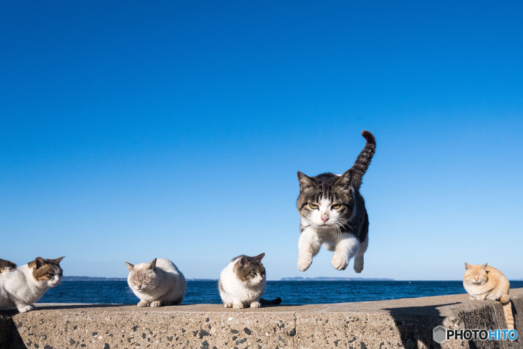 がんばっていこ～