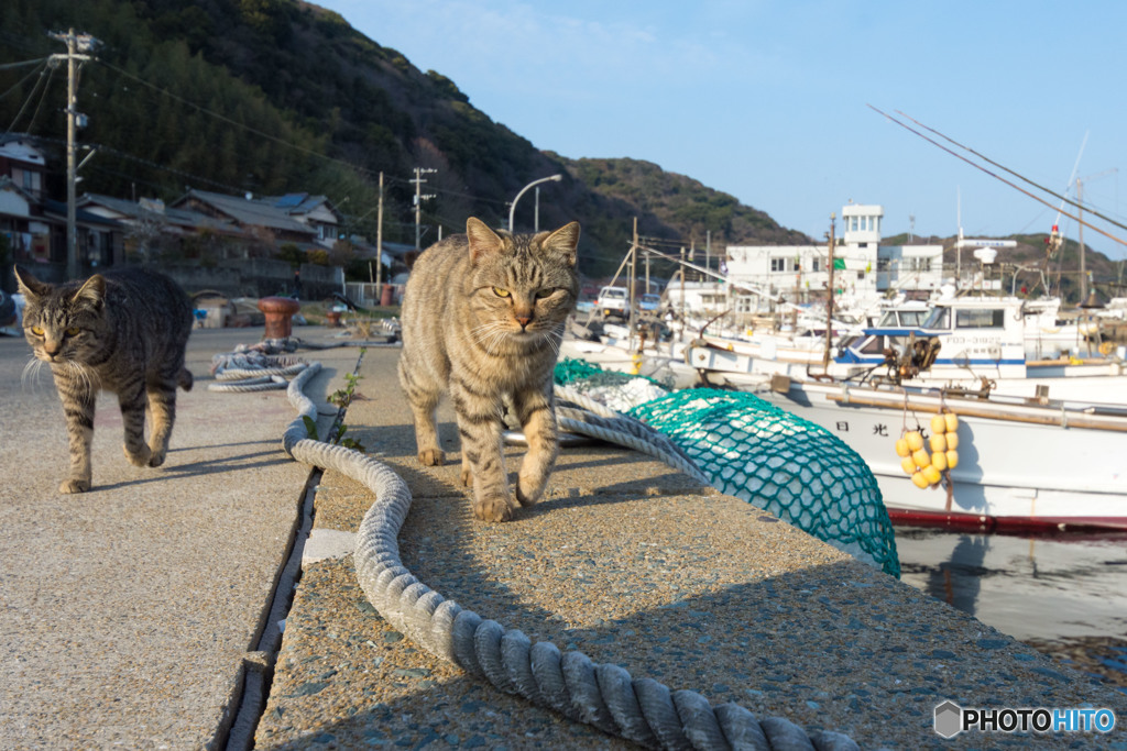 お見送りに来てくれた