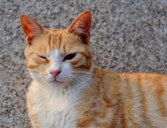 ウインク出来た