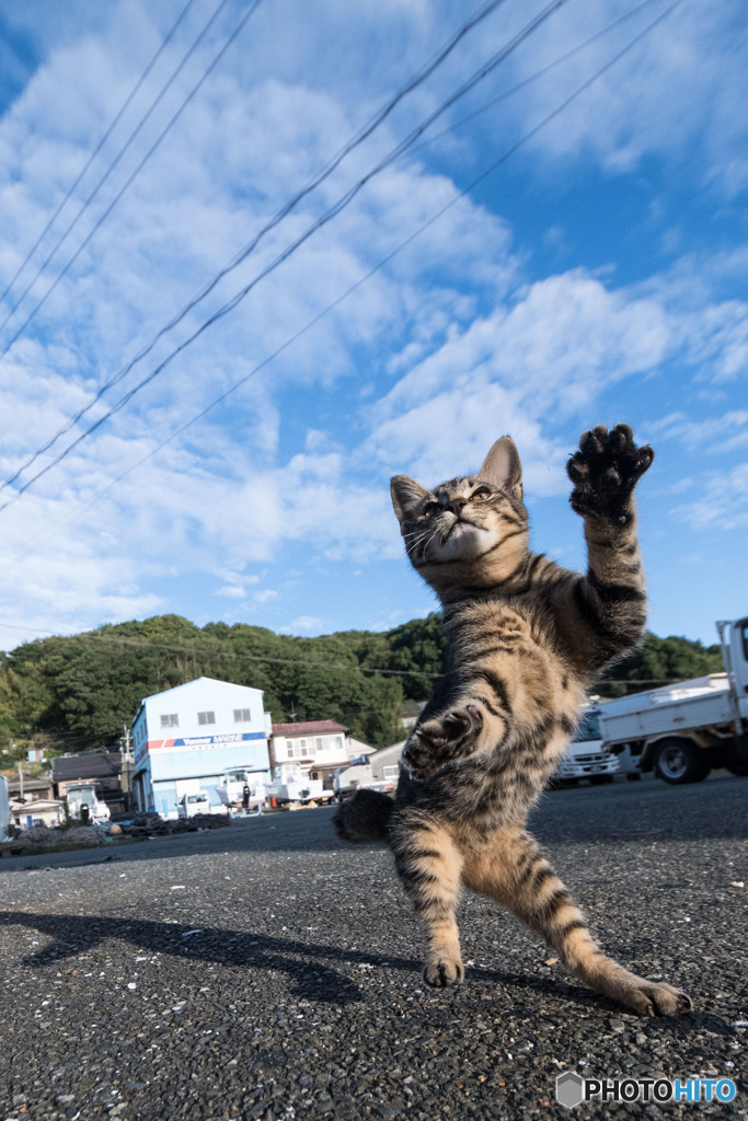 秋空わーい