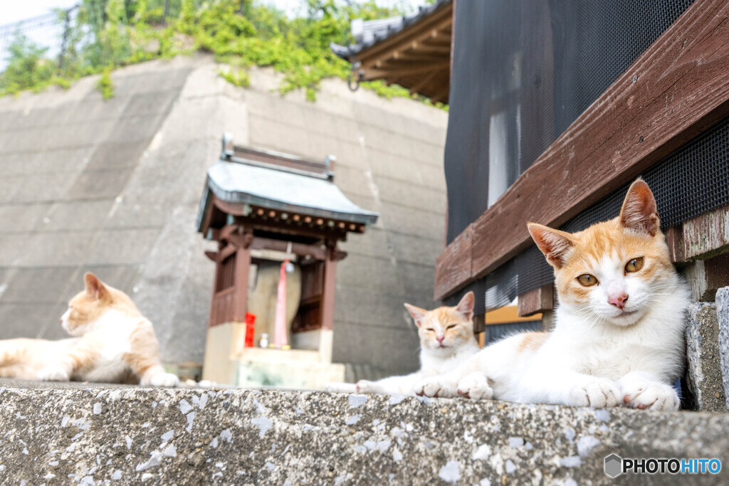 家族だよ