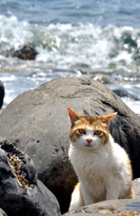 ふうう・・・暑い