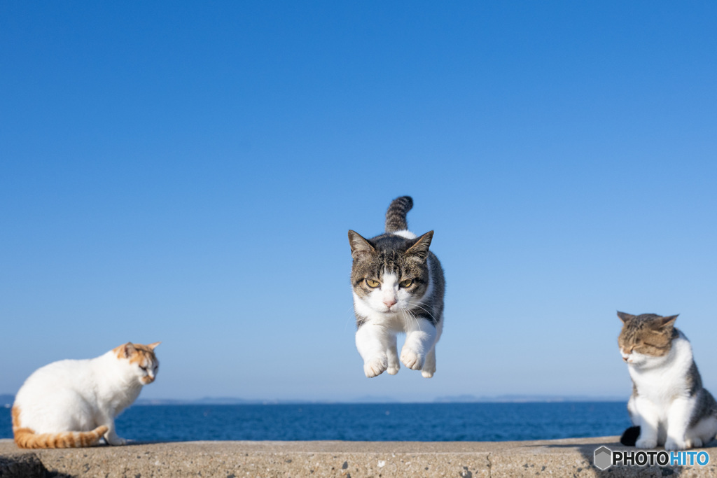 流石の安定感