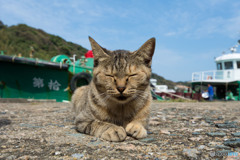 うふっ(´∀｀)
