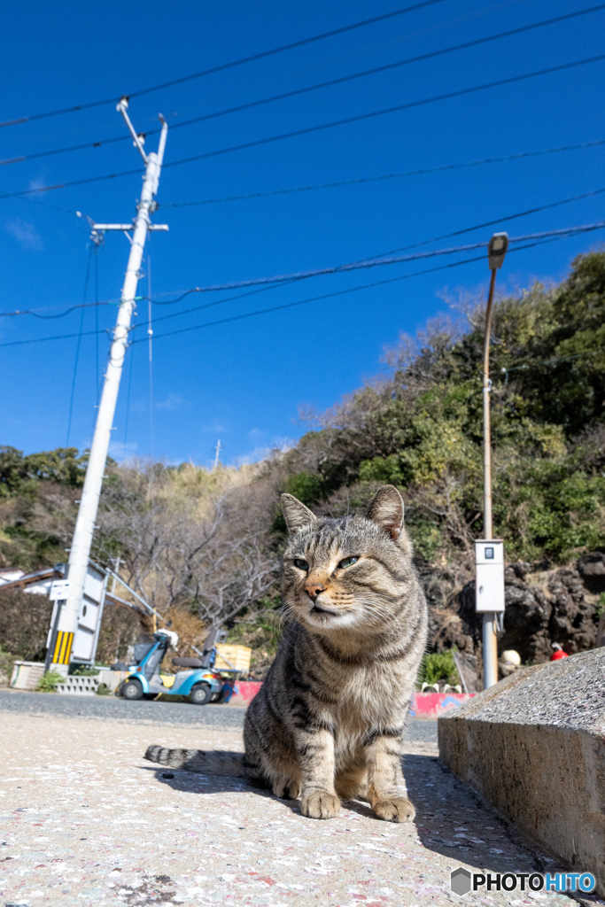 プリティなジャンボくん