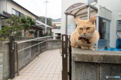 診療所の前で（2）