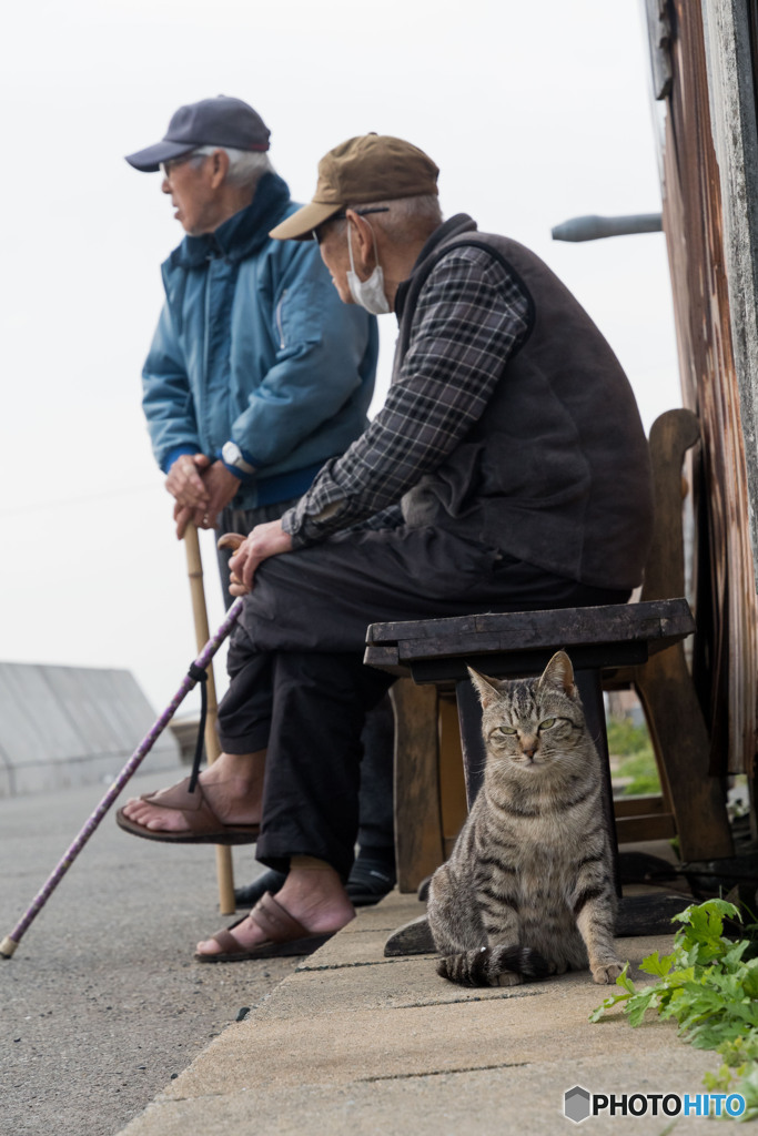 島のおじいちゃん。島のネコさん。