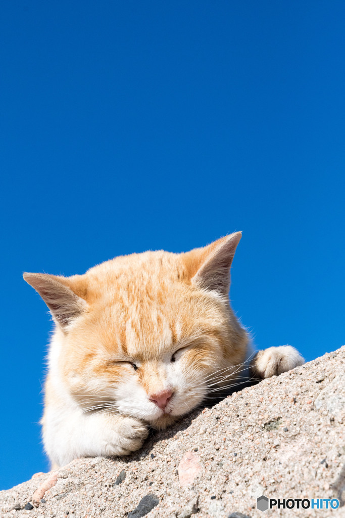 (-_-)゜zzz…