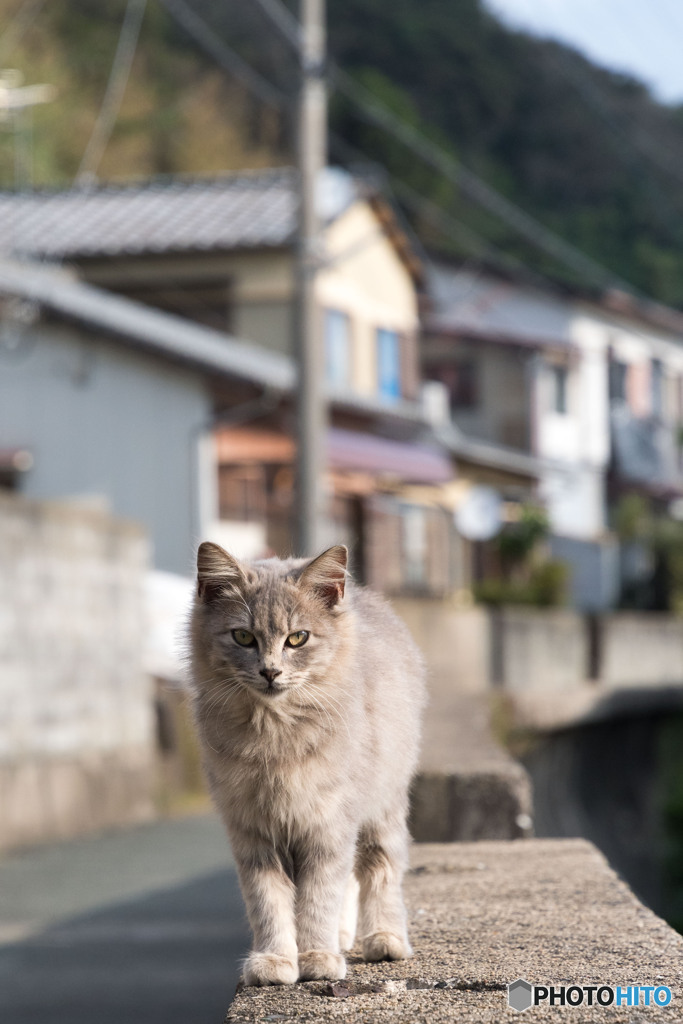 べっぴんしゃん