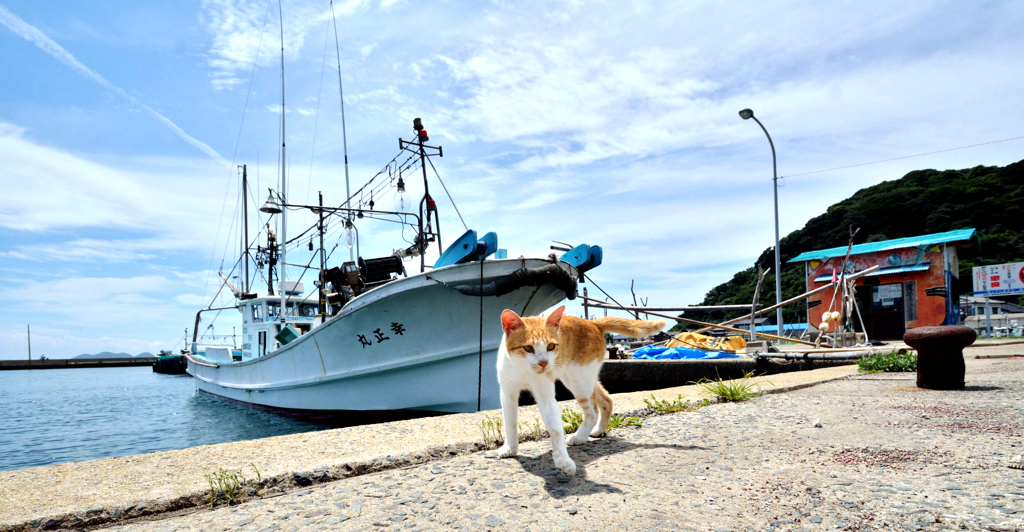 これでいいのだ？