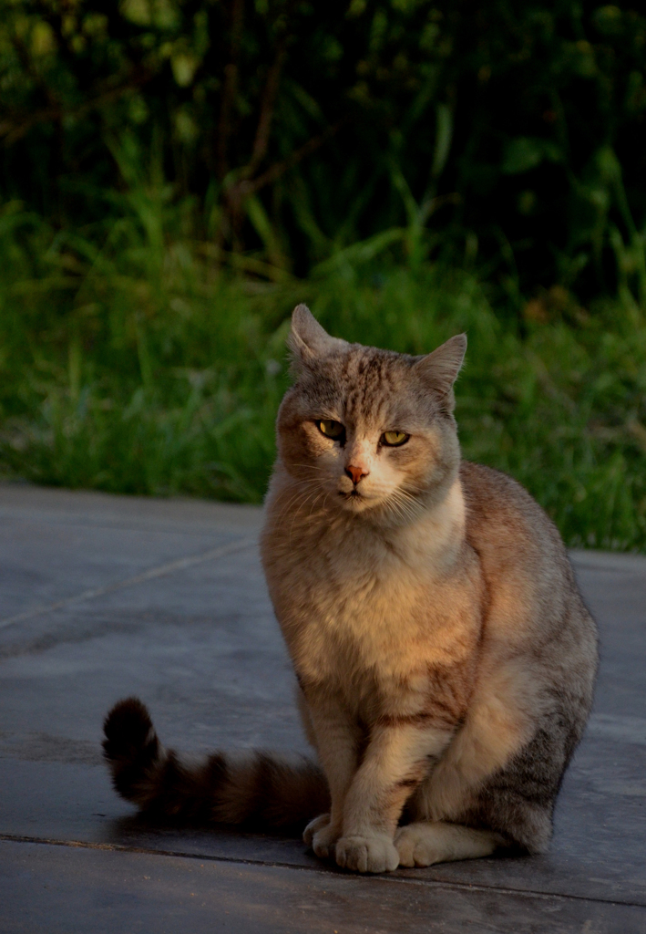 DSC_5595