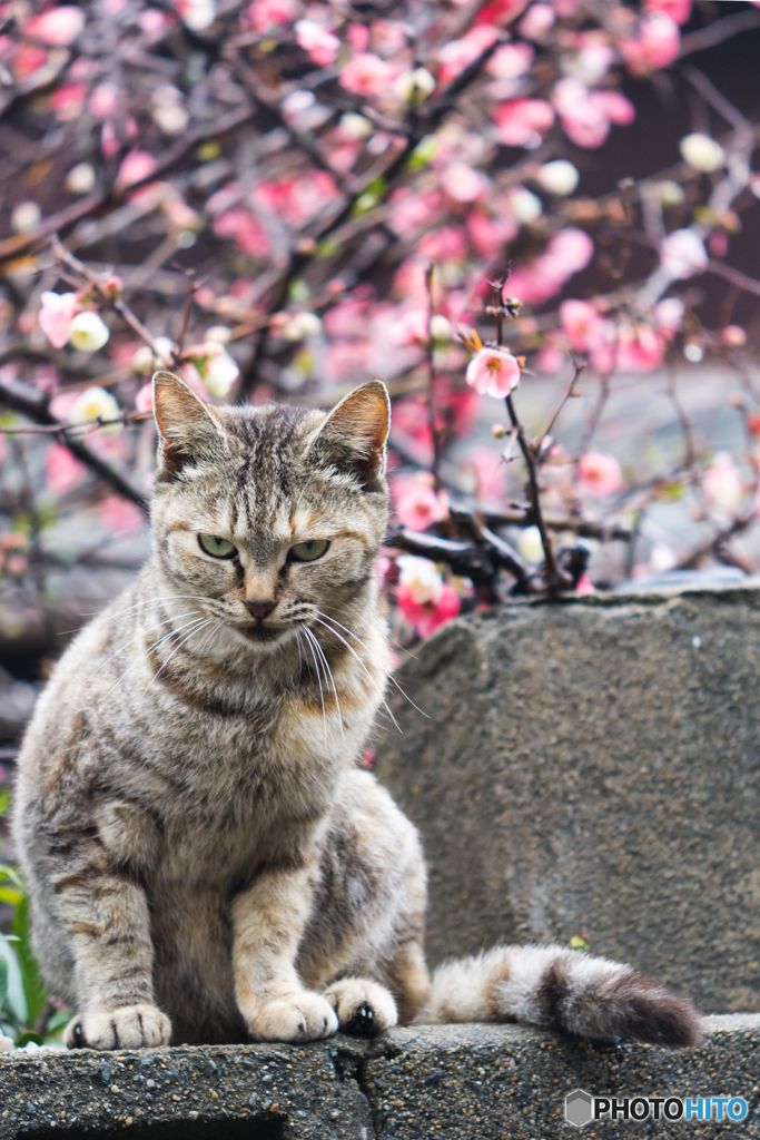うにょっ(=‘ｘ‘=)