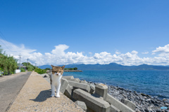 終わらない夏