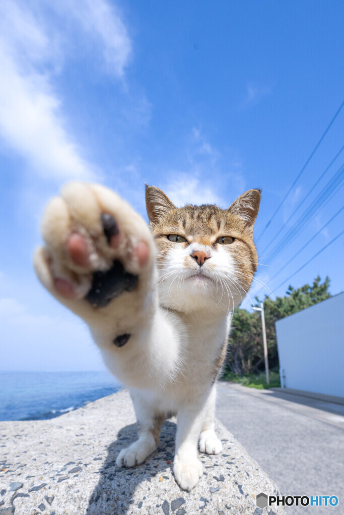 でぇぇぇい！