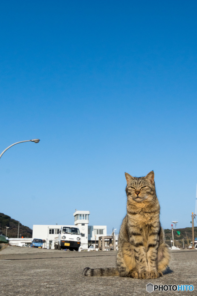 ユミちゃん、思案中