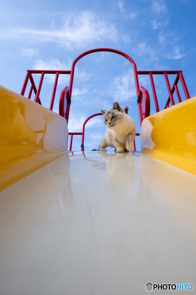 チャレンジすべり台