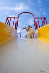 チャレンジすべり台