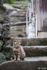 階段の見張り番