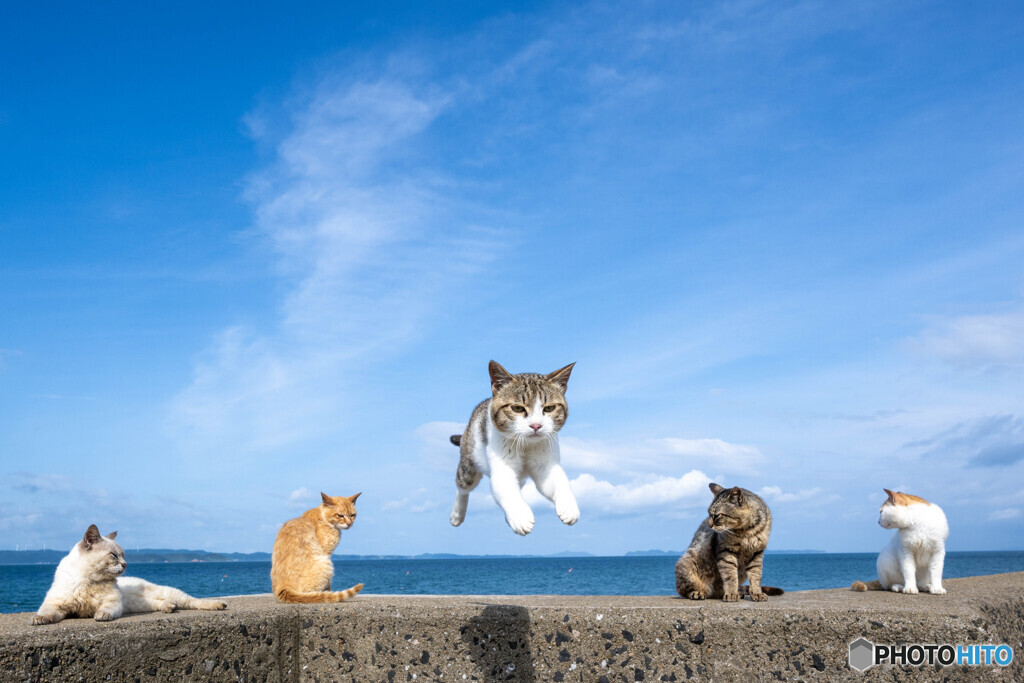 そろそろ梅雨明け