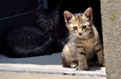 照れ屋なんです