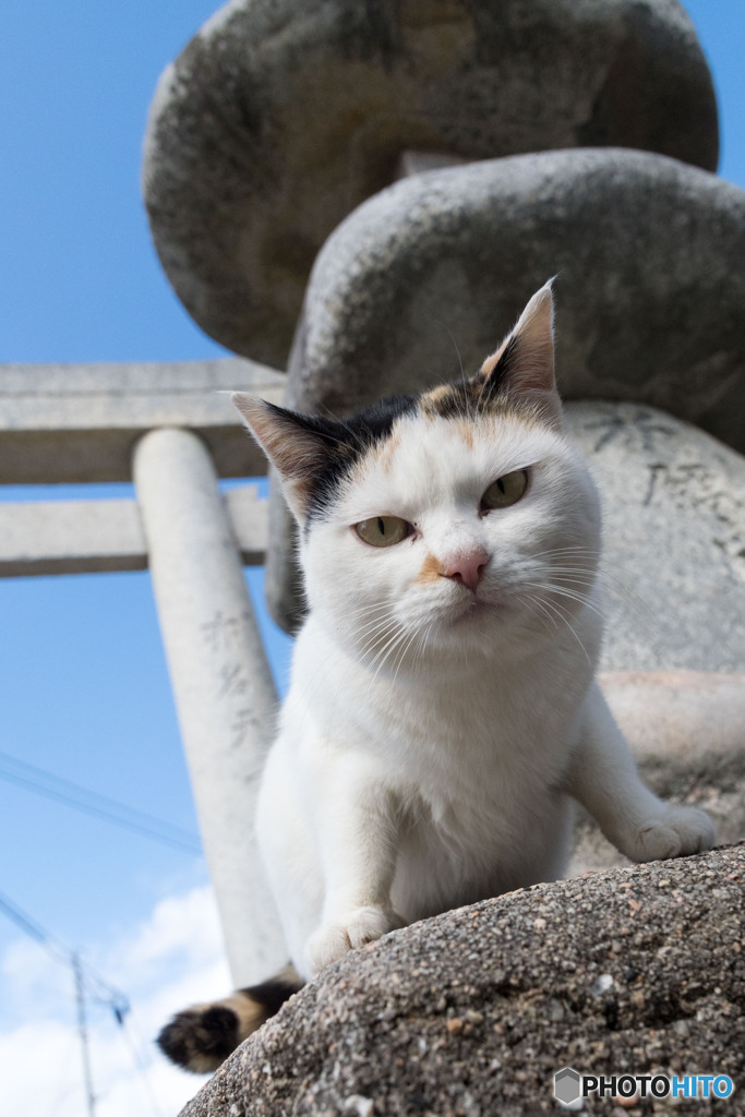 ニャハッ