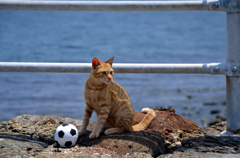 ゴール守ります