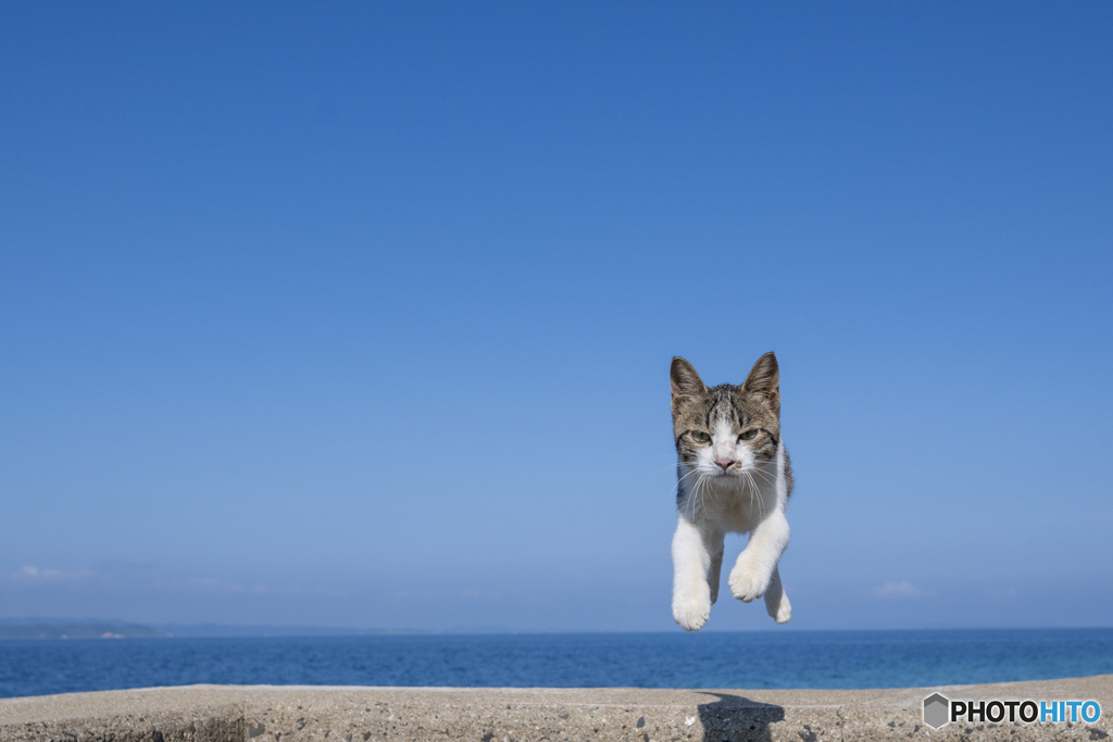 よいしょっと