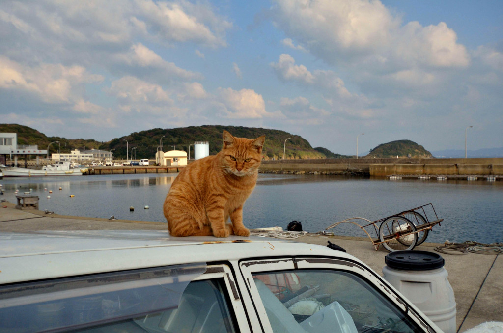 怒ってないよ
