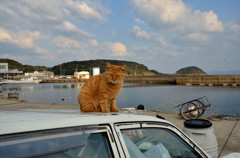 怒ってないよ