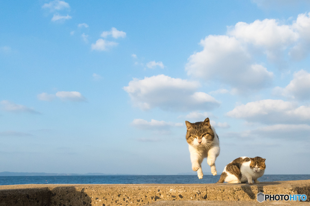 飛行隊のみなさん（1）