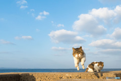 飛行隊のみなさん（1）