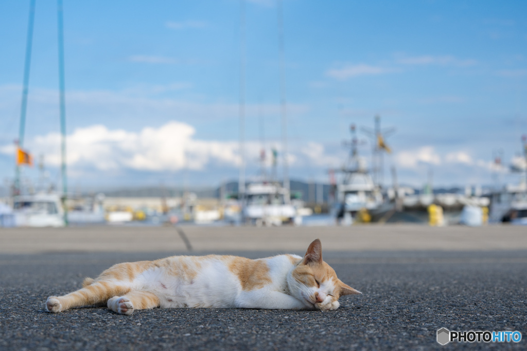 のんびりとね