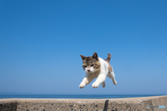 隊長のジャンプ