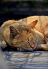 起こさないでね